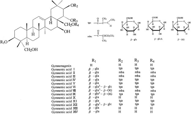 gymneya-chemical