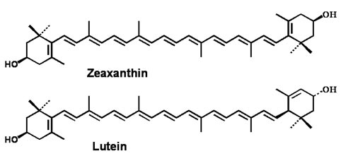 lutein-chemical
