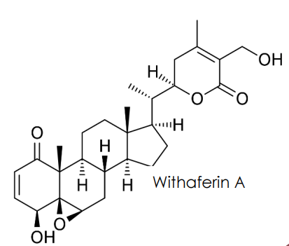 Ashwagandha formula image